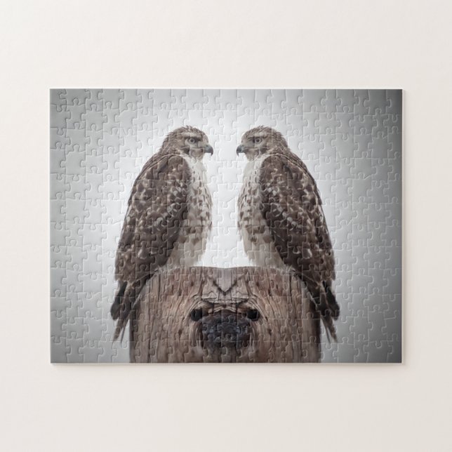 Quebra-cabeça Hawks em um posto (Horizontal)