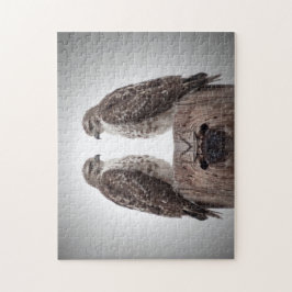 Quebra-cabeça Hawks em um posto