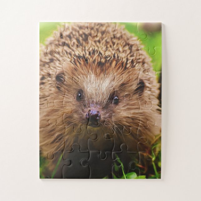Quebra-cabeça Hedgehog Explora Curiosamente a Natureza (Vertical)