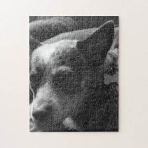 Quebra-cabeça Heeler azul