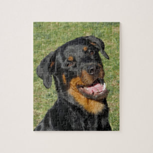 Quebra-cabeça Heidi Cute Rottweiler Puzzle