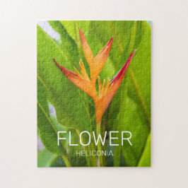 Quebra-cabeça Heliconia Flowers Botânica Garden Design