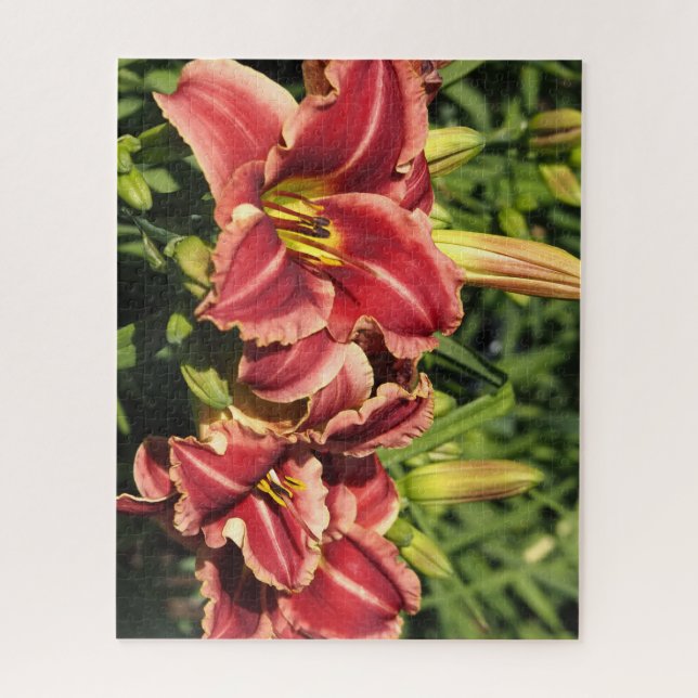 Quebra-cabeça Hemerocallis (Vertical)