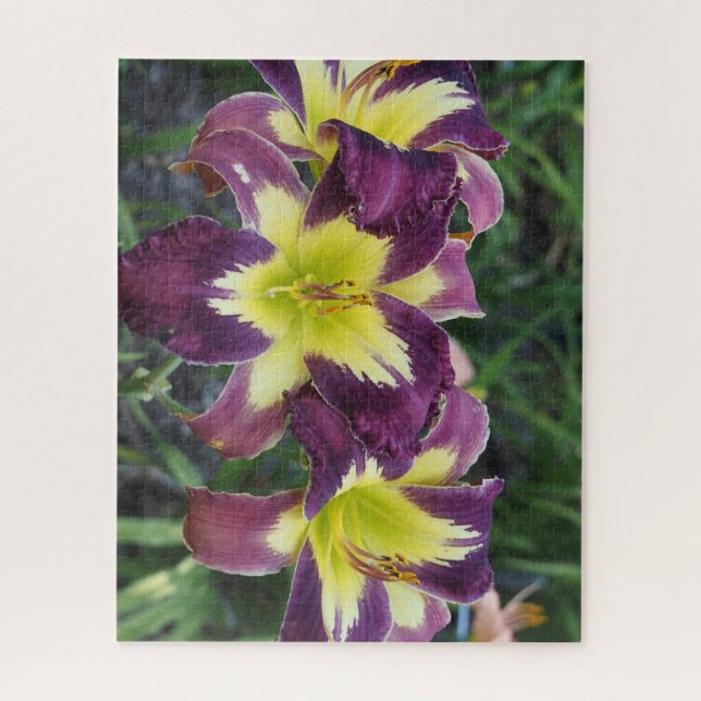 Quebra-cabeça Hemerocallis (Vertical)