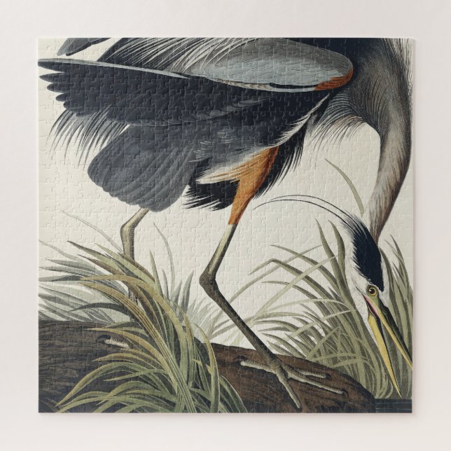 Quebra-cabeça Herão Azul excelente das Aves da América (Vertical)