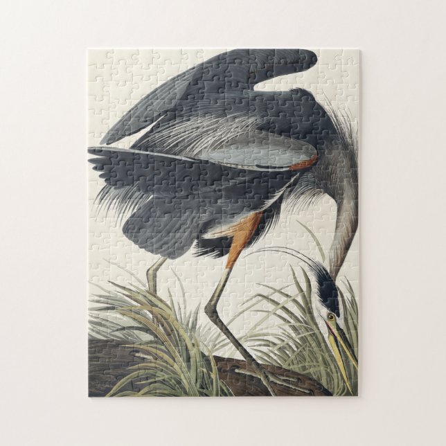 Quebra-cabeça Herão Azul excelente das Aves da América (Vertical)