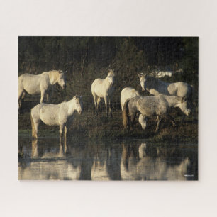 Quebra-cabeça Herd Camargue Ponies Na Água
