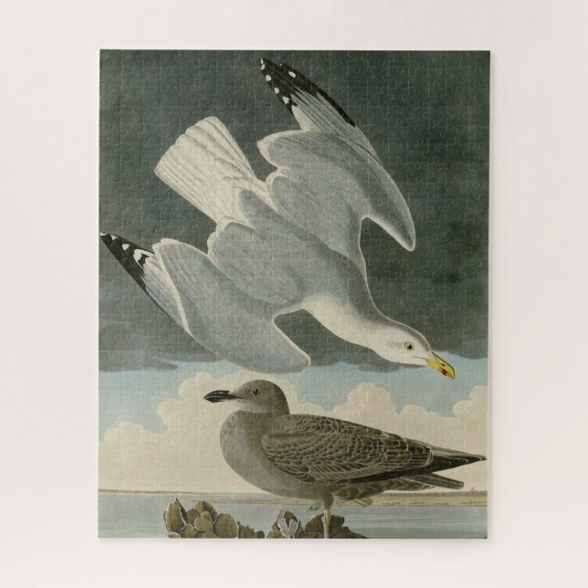 Quebra-cabeça Herring Gull do Birds of America, de John Audubon (Vertical)