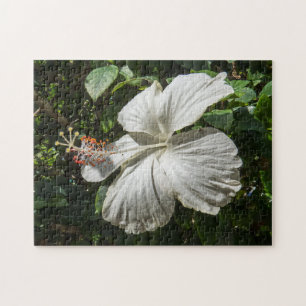 Quebra-cabeça Hibisco Branco Natureza pacífica