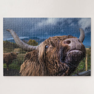 Quebra-cabeça Highland Cow, Escócia