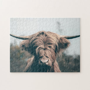 Quebra-cabeça Highland cow portrait