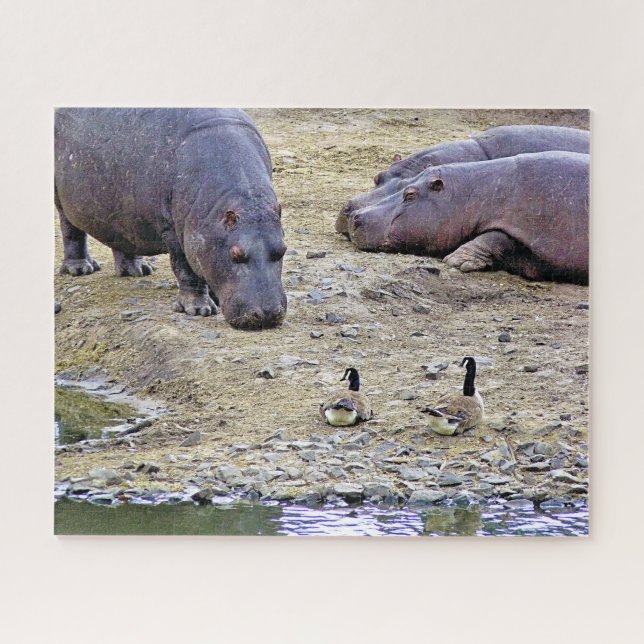 QUEBRA-CABEÇA HIPPOS (Horizontal)