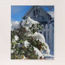 Holly Berries em neve - Martha's Vineyard