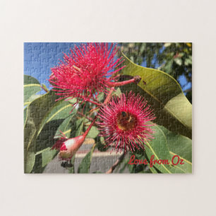 Quebra-cabeça Honey Bee and Eucalyptus Flowers