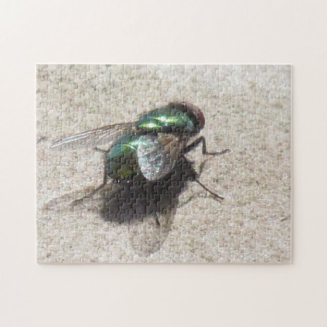 Quebra-cabeça - House Fly (Horizontal)