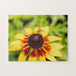 Quebra-cabeça Hoverfly Em Rudbeckia