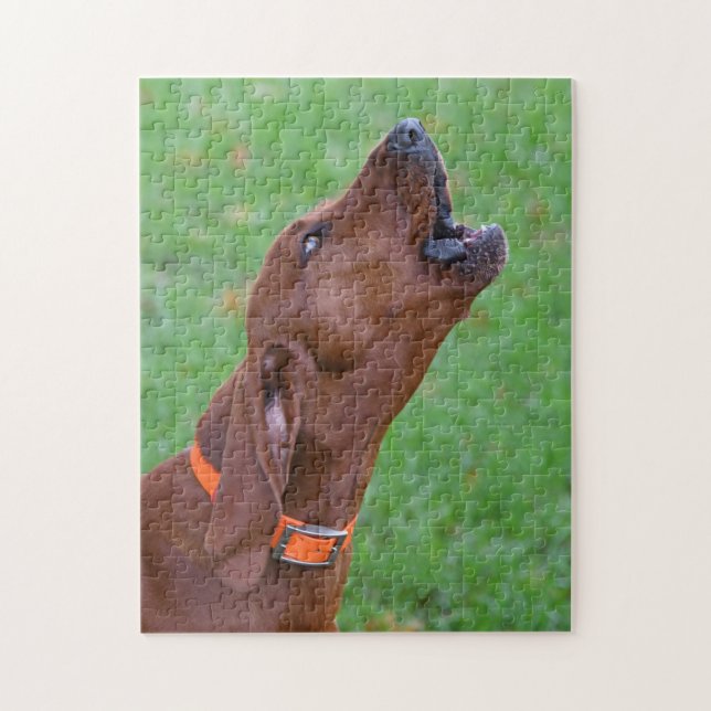 Quebra-cabeça Howling Redbone Coonhound Hunting Dog (Vertical)
