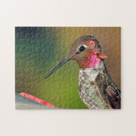 Quebra-cabeça Hummingbird