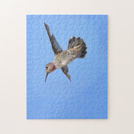 Quebra-cabeça Hummingbird