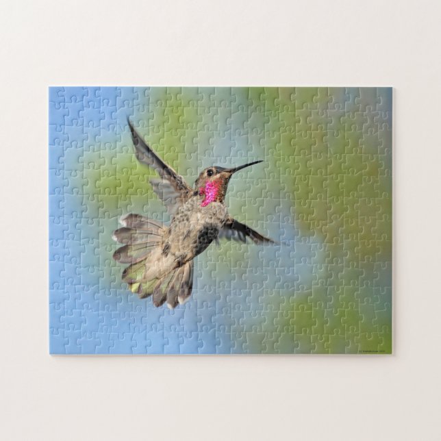 Quebra-cabeça Hummingbird (Horizontal)