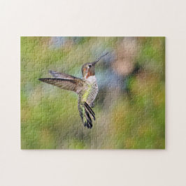 Quebra-cabeça Hummingbird