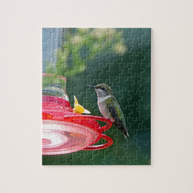 Quebra-cabeça Hummingbird (Vertical)