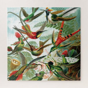 Quebra-cabeça Hummingbird por Ernst Haeckel