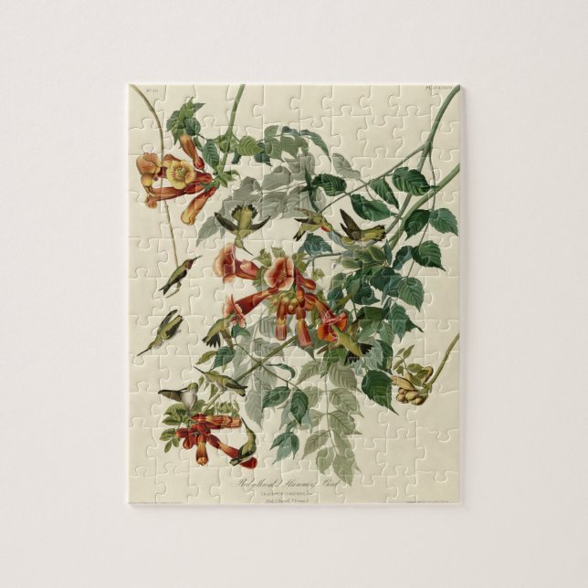 Quebra-cabeça Hummingbird Ruby Throbon Audubon (Vertical)