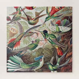Quebra-cabeça Hummingbird, Trochilidae Kolibris, por Ernst Haeck
