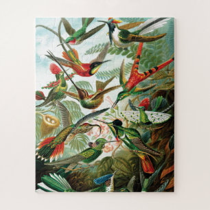 Quebra-cabeça Hummingbirds by Ernst Haeckel