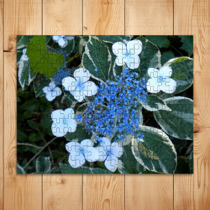 Quebra-cabeça Hydrangea Azul Variado