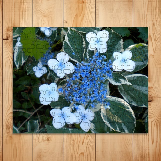 Quebra-cabeça Hydrangea Azul Variado (Criador carregado)