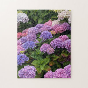 Quebra-cabeça Hydrangea Fotografia