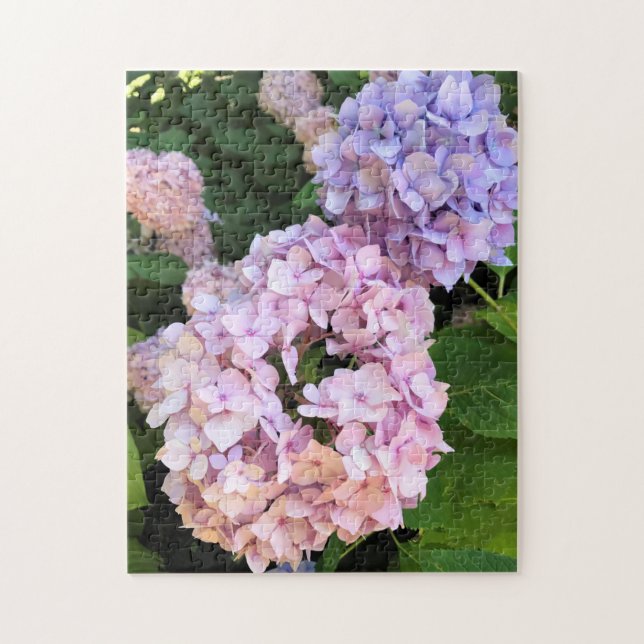 Quebra-cabeça Hydrangeas (Vertical)