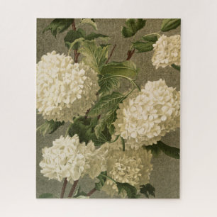 Quebra-cabeça Hydrangeas Brancas Vintage