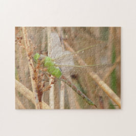 Quebra-cabeça I1 Dragonfly Verde