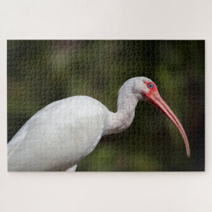 Quebra-cabeça Ibis Branco