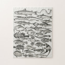 Quebra-cabeça Ichtiologictiologia, peixes, oceanos, ictiólogo