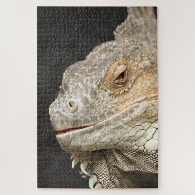 Quebra-cabeça iguana (Vertical)