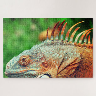 Quebra-cabeça Iguana