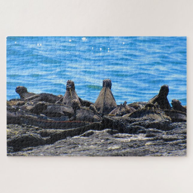 Quebra-cabeça iguana marinha (Horizontal)