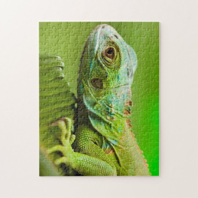 Quebra-cabeça Iguana na Natureza (Vertical)