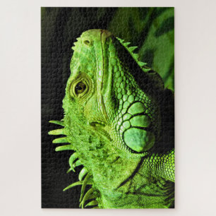 Quebra-cabeça Iguana verde
