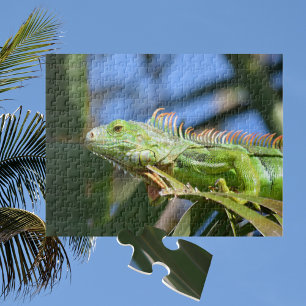 Quebra-cabeça Iguana Verde em uma Árvore de Palmeira Fotográfica