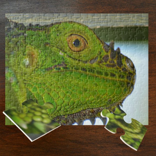 Quebra-cabeça Iguana Verde para Cima e Fotografia Pessoal (Criador carregado)