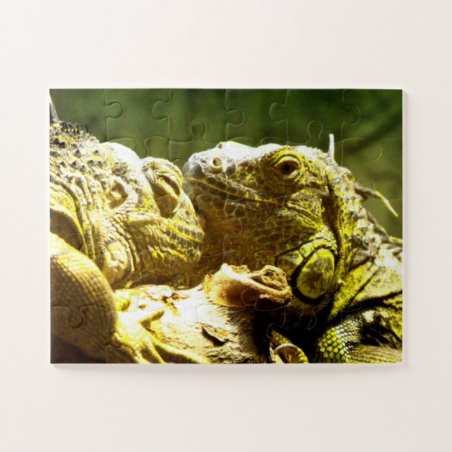 Quebra-cabeça Iguanas (Horizontal)
