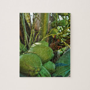 Quebra-cabeça Ilha Verde Coconuts Palm Tree