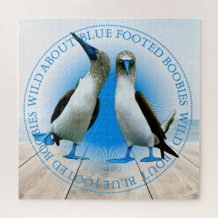 Quebra-cabeça Ilhas Galápagos - Aves de Boobá Azul