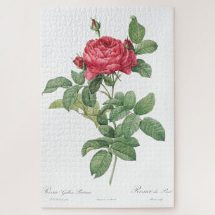 Quebra-cabeça Ilustração Antiga da Vintagem da Flor de rosa Bloo