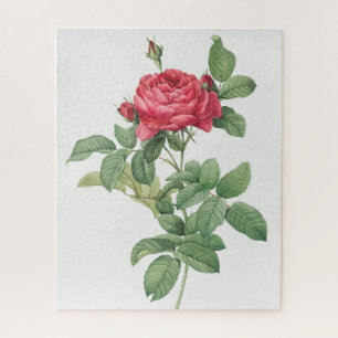 Quebra-cabeça Ilustração Antiga da Vintagem da Flor de rosa Bloo